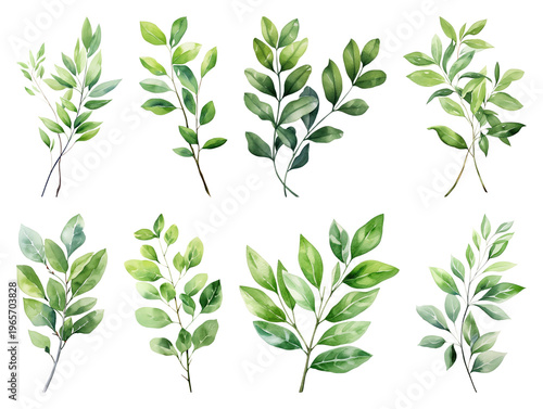 PNG Watercolor green leaves element set on transparent background
