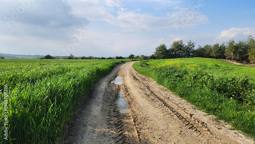 Foto A muddy road used for service purposes between the crop fields in spring day
