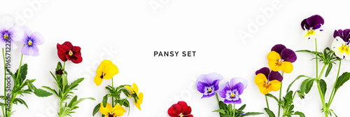 Canvas Print Fresh pansy flowers isolated on white background