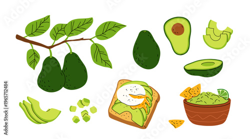 Cartoon set with avocado fruit on branch with leaves. Whole avocado, half and slices, cubes. Avocado toast with poached egg, bowl of guacamole with lime and nachos. Flat vector set