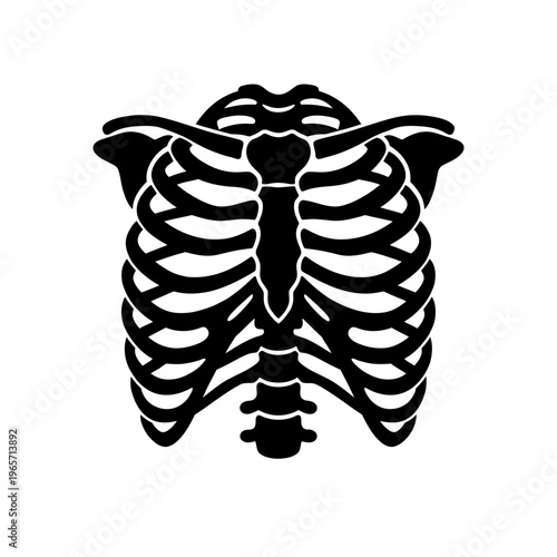 Detailed illustration of a human ribcage and spine in black silhouette on white background for medical or educational use