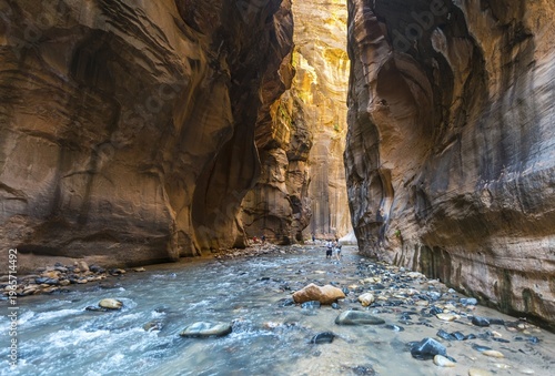 Hikers in river, The Narrows, Virgin River, steep walls, Zion Canyon, Zion National Park, Utah, USA