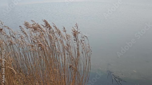 강원도 강릉 여행 바닷가 해변 경관