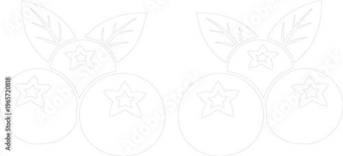 Blueberry outline vector illustration, fresh berry fruit line art, simple graphic design element for healthy food concepts, cooking, and nutrition projects