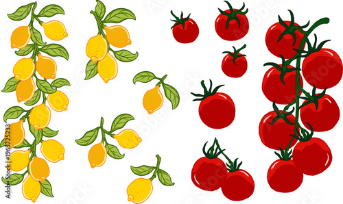 Hand drawn illustration set of lemons, tomato, colourful, Graphic background elements.