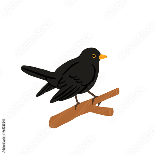 Common backyard birds clipart set with Ukrainian and English names, educational bird illustrations collection, European songbirds vector graphics with bullfinch jay sparrow blackbird