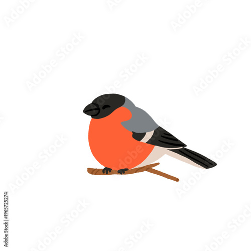 Common backyard birds clipart set with Ukrainian and English names, educational bird illustrations collection, European songbirds vector graphics with bullfinch jay sparrow blackbird