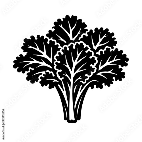 A black and white illustration of a bunch of kale on a plain background, showcasing its leafy green vegetable characteristics.