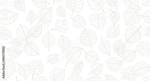 Delicate pattern of hand drawn autumn leaves on white background gentle falling foliage organic natural elements for seasonal decoration and design.