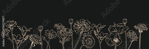 Sketches floral collection of cornflowers, dandelions, poppies, bellflowers, and daisies on dark background. Border of hand drawn wildflowers in a line art style. For cards, frames and summer decor.