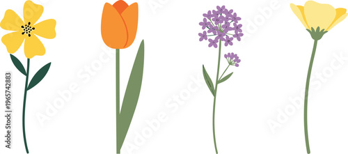 Charming Flat-Style Illustration of Various Flowers: Yellow, Orange, and Purple Blooms with Elegant Stems