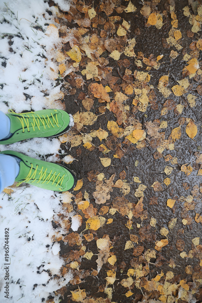 Naklejka premium autumn fallen leaves frozen in ice, seasonal background, texture of autumn and early winter