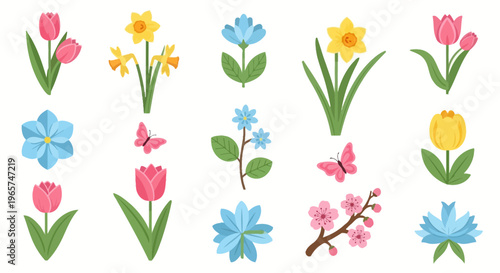 Colorful flowers and butterflies illustrations.