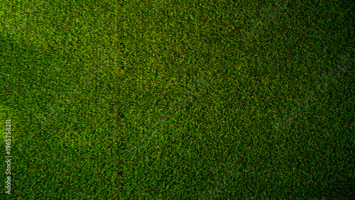 Green grass background, top view background of garden bright grass concept.
