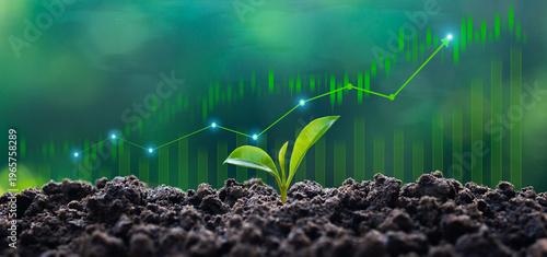 Cuadro en lienzo Sustainable green business growth and green investment concepts, with updated financial charts and seedlings growing against a sunny background