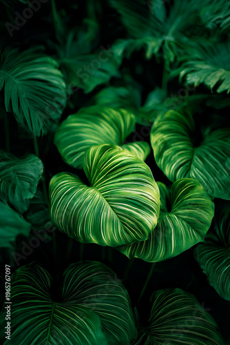 background, this seamless pattern of green palm