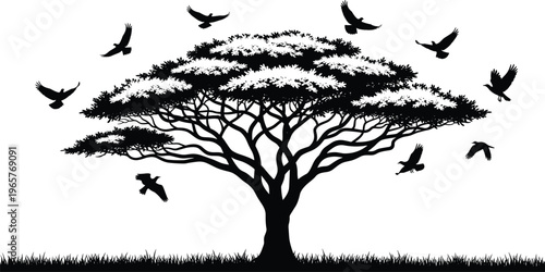 Black silhouette of a large spreading acacia tree and flying birds over a grassy horizon isolated on a white background for minimalist nature design.