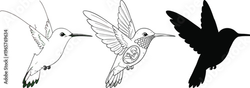 Hand drawn hummingbird collection featuring detailed line art with a person reading inside an egg silhouette and a solid black bird icon cutout