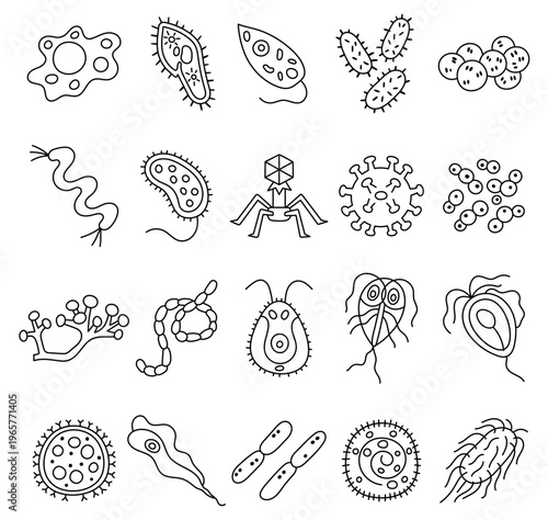 Unicellular microorganism set in outline line art featuring amoeba paramecium euglena bacteria virus yeast mold cyanobacteria protist parasite microbe laboratory study