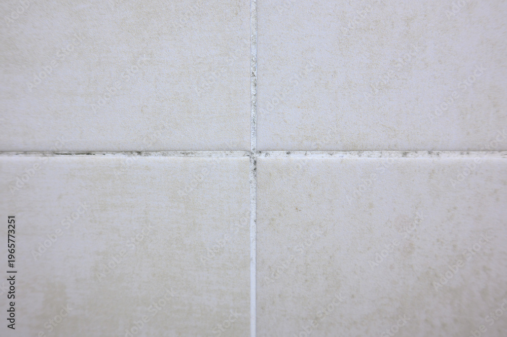 Fototapeta premium Black Mold and Mildew on Bathroom Tile Grout. Dirty Ceramic Tiles in Shower, Dampness and Hygiene Issues, Home Maintenance Concept. Fungal Growth in Wet Room, Need for Cleaning and Disinfection