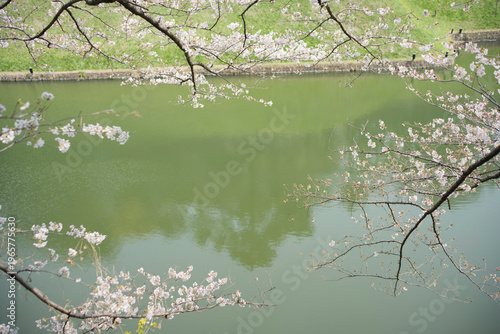 春の九段下　田安門付近の風景　3月