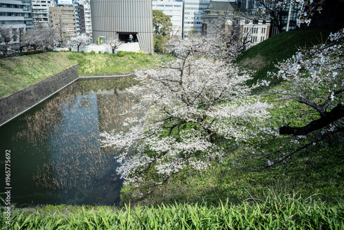 春の九段下　田安門付近の風景　3月