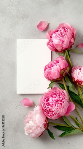 Beautiful pink peonies arranged beside a blank white card on a textured gray surface, perfect for invitations and romantic notes to express heartfelt messages and creativity.