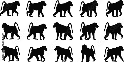 Vector collection of beach chair icons, featuring sun loungers, deck chairs, patio furniture, and striped umbrellas for summer vacation and outdoor relaxation designs.