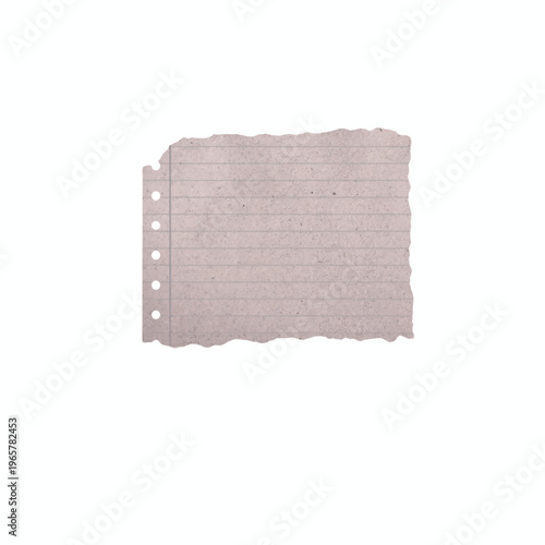 A torn piece of lined paper with holes from a hole punch on a white background