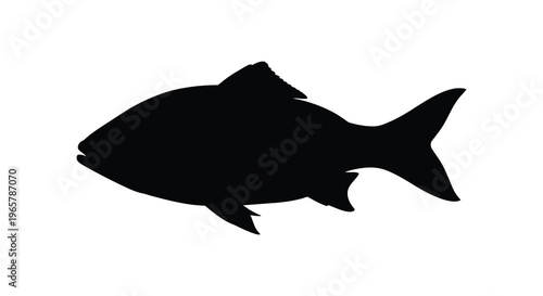 A striking black silhouette of a fish swimming gracefully