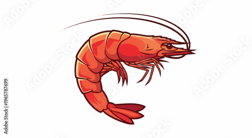 Detailed illustration of a red shrimp with antennae and legs