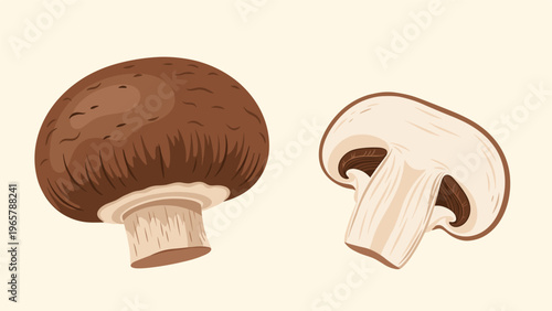 Natural illustration of a whole brown mushroom and a cross section slice showing its internal structure on white.