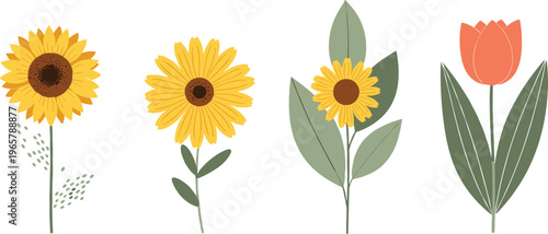 Collection of Sunflowers and Tulip Floral Set