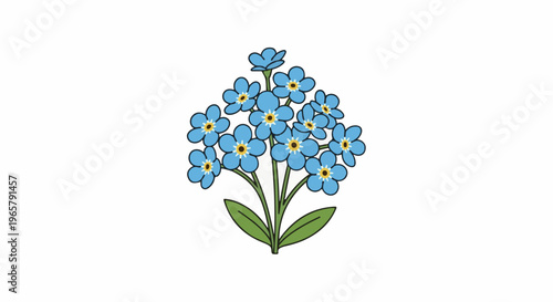 Small bunch of vibrant blue forget-me-not flowers with green leaves