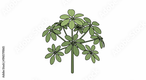 Stylized green tree with many leaves on a white background