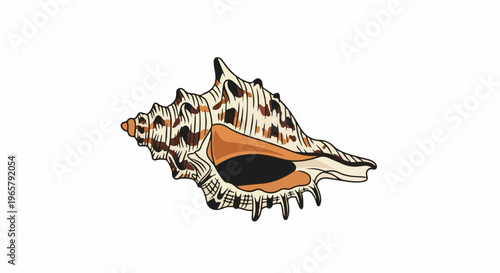 Illustrated, textured sea shell with brown and tan markings on a white background