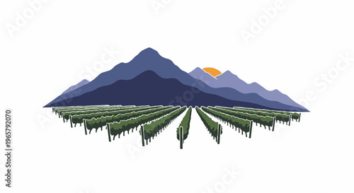 Vineyard rows lead to majestic purple mountains under a setting sun