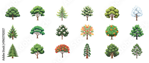Tree icons collection featuring oak maple pine palm willow and evergreen forest plants decorative botanical outline line editable stroke nature set.