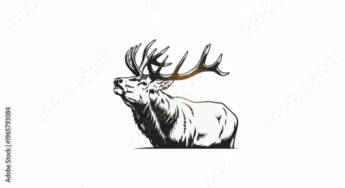 Majestic elk with impressive antlers gazes upwards