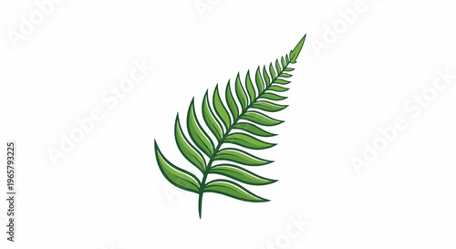 Single green fern frond with detailed veins and an outline