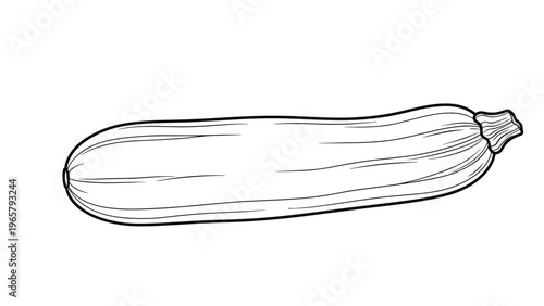 Simple black and white line drawing of a whole fresh zucchini squash vegetable isolated on a plain white background for culinary designs.