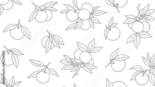 Hand drawn seamless pattern of orange fruits on leafy branches in black and white line art style for organic food designs.