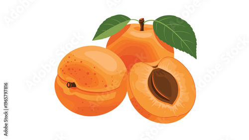 Ripe orange apricots shown as two whole fruits and one half with its pit and green leaves for a healthy food theme.