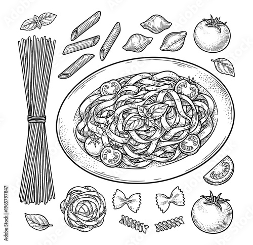 Italian pasta engraving set with spaghetti tomato basil penne farfalle