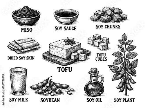 Soy food engraving set with tofu soy sauce milk bean oil miso and plant