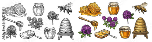 Honey set with bee hive jar and honeycomb in vintage engraving