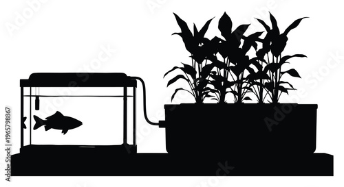 Aquarium with plants and a fish presented as a striking silhouette