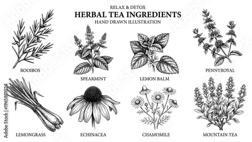 Herbal tea set chamomile mint echinacea lemongrass rooibos vintage