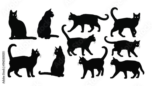 A collection of black cat silhouettes showcasing various poses and body language creating a striking visual composition silhouette
