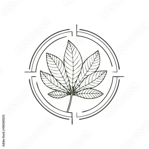 Hand-drawn cannabis leaf inside a circular emblem logo